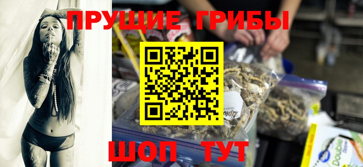 Псилоцибиновые грибы мицелий  Вход с VPN  Абинск 
